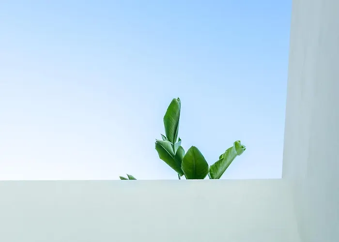 بيت للعطل Casa Ella